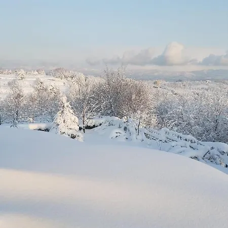 Hébergement de vacances Bizim Ev *