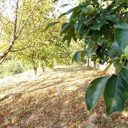 Hébergement de vacances Bizim Ev *