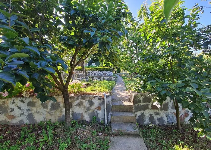 Дом отдыха Bizim Ev *