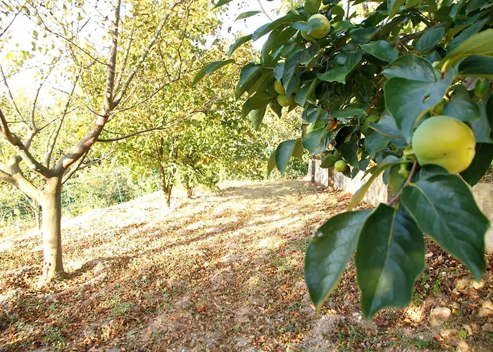 Дом отдыха Bizim Ev *