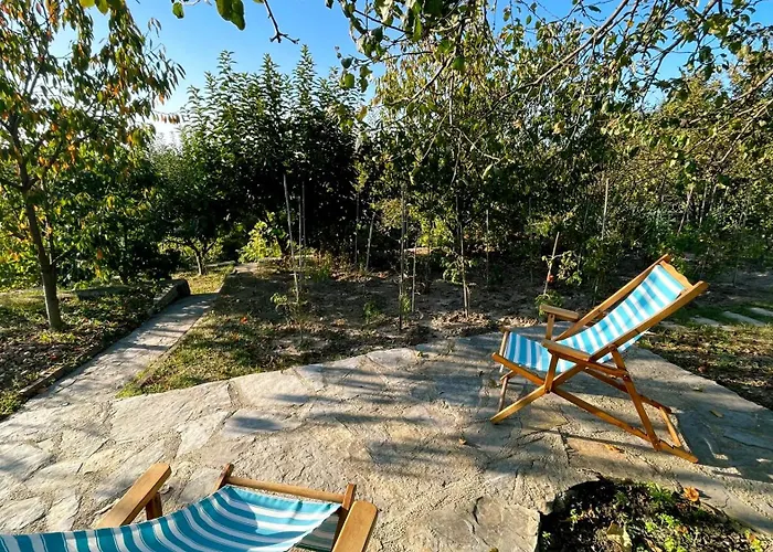 Bizim Ev * Сапанча